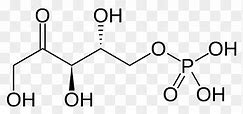Ribulosa Bifosfat Adalah
